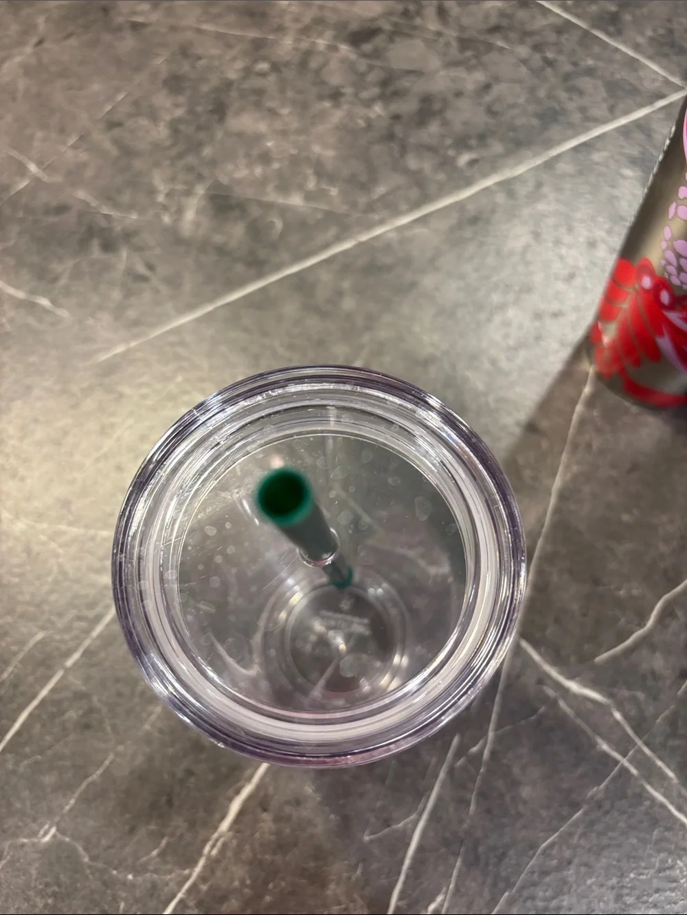 Starbucks dog cup